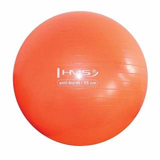 Gymnastický míč HMS YB02 55 cm oranžový