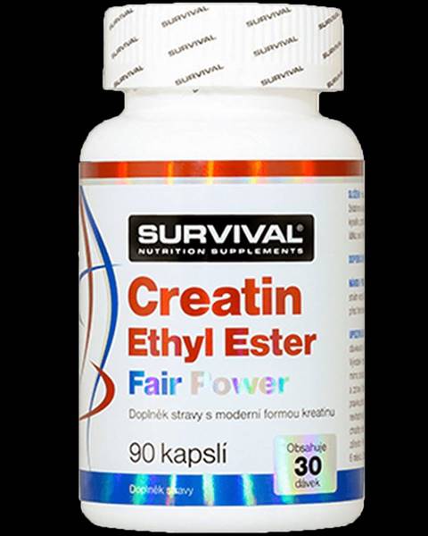 Creatin Ethyl Ester Fair Power 90 cps