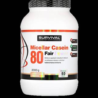 Micellar Casein 80 Fair Power 2000 g