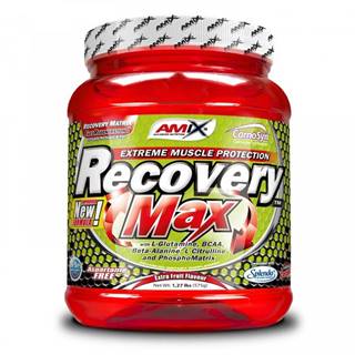 Recovery Max -  575 g Fruit Punch